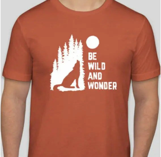 2. Color Considerations